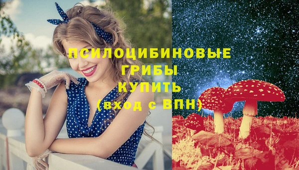 мдпв Абдулино